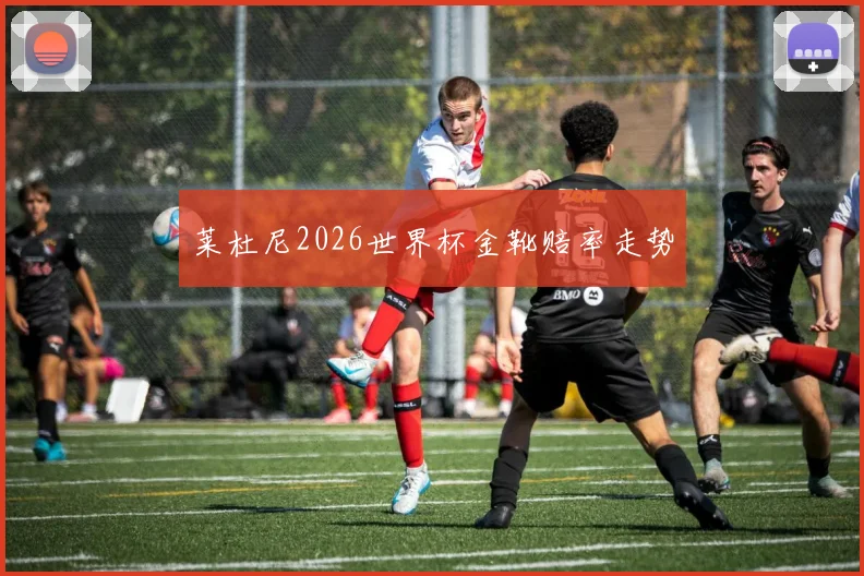 莱杜尼2026世界杯金靴赔率走势