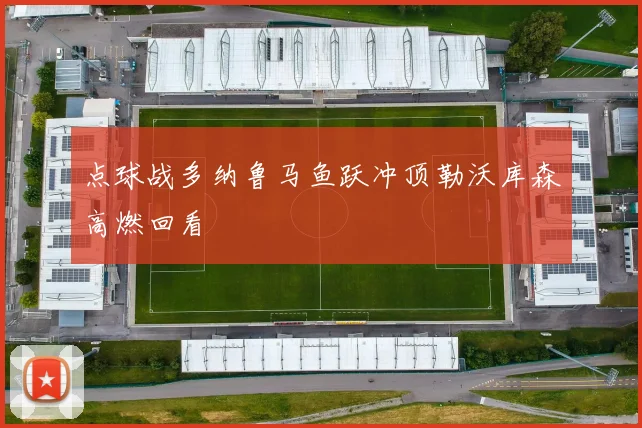 点球战多纳鲁马鱼跃冲顶勒沃库森高燃回看