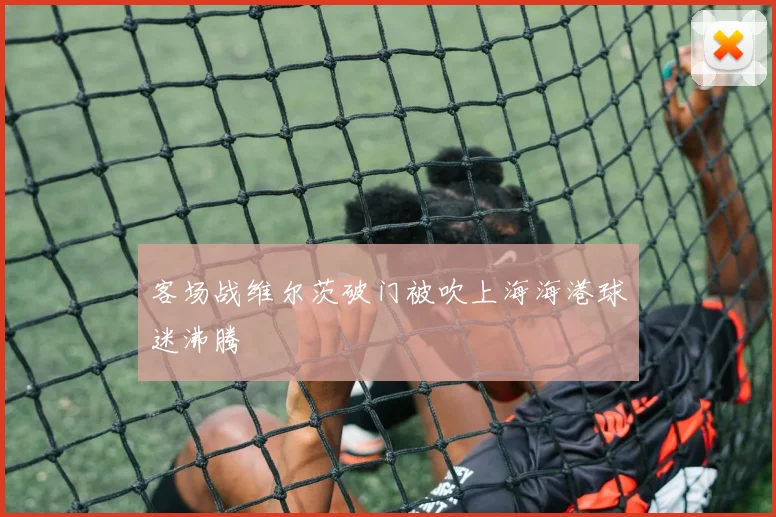 客场战维尔茨破门被吹上海海港球迷沸腾