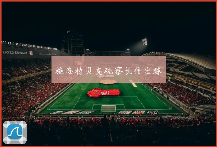 施洛特贝克观察长传出球