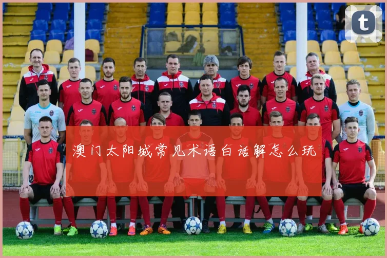 澳门太阳城常见术语白话解怎么玩