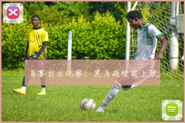 马赛打法观察:黑马延续定上限